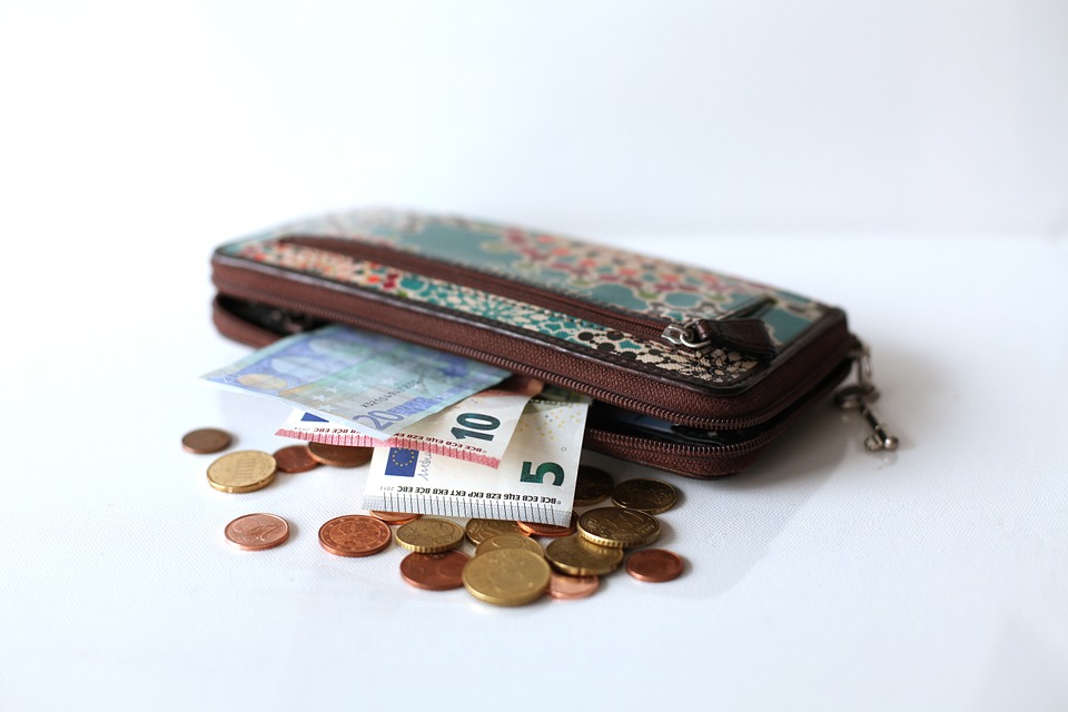 peněženka s eury